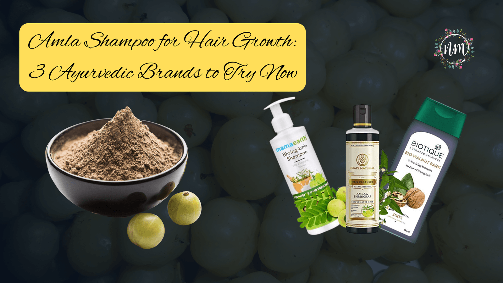 Amla Shampoo for Hair Growth 3 Ayurvedic Brands to Try Now