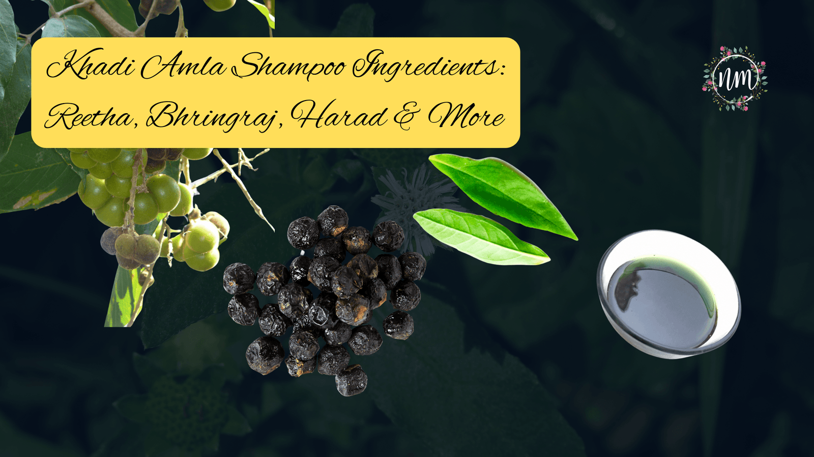 Khadi Amla Shampoo Ingredients
