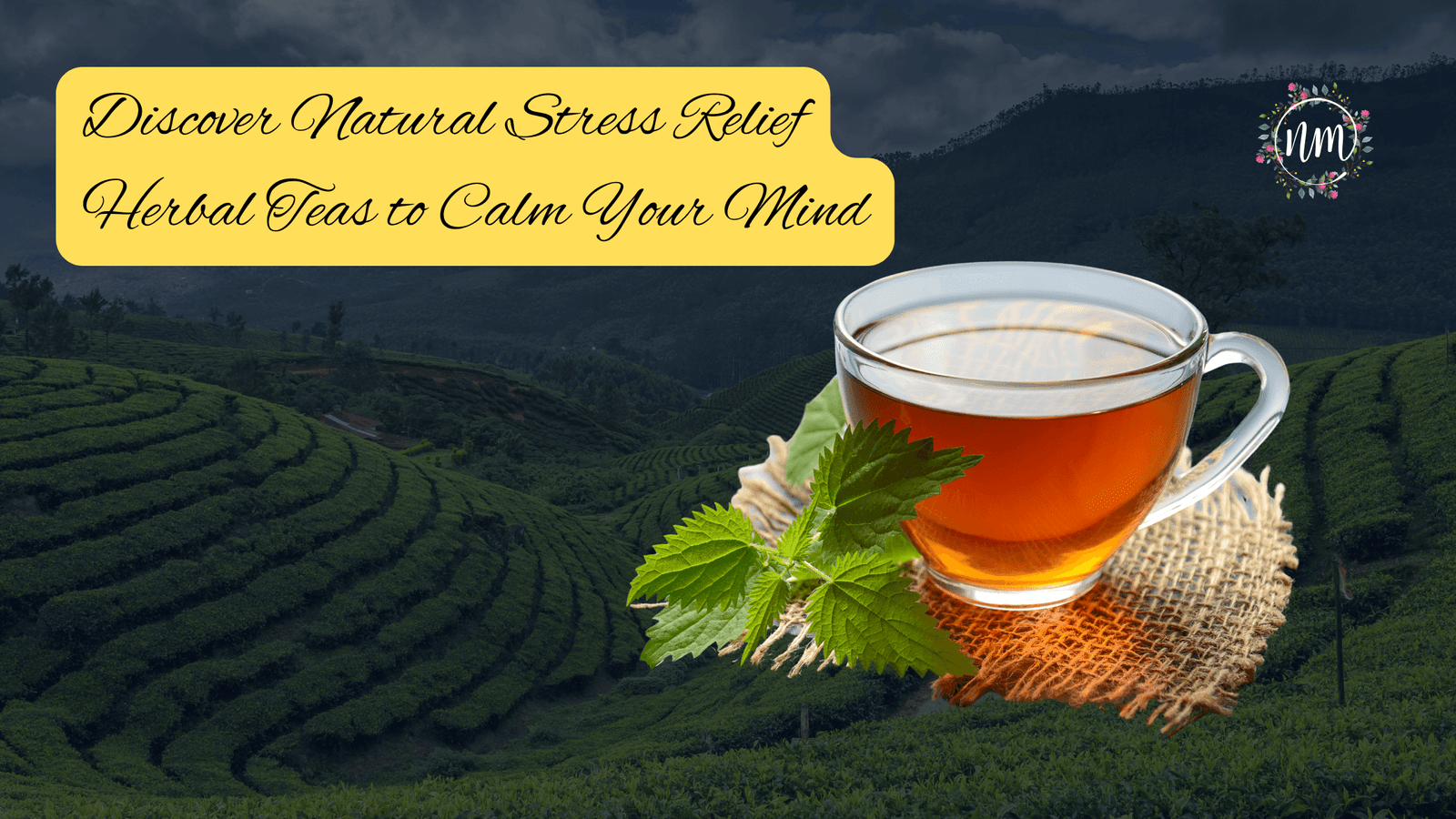 Natural Stress Relief 3 Herbal Teas